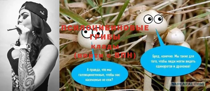 hydra вход  Салават  Псилоцибиновые грибы Psilocybe  цена  